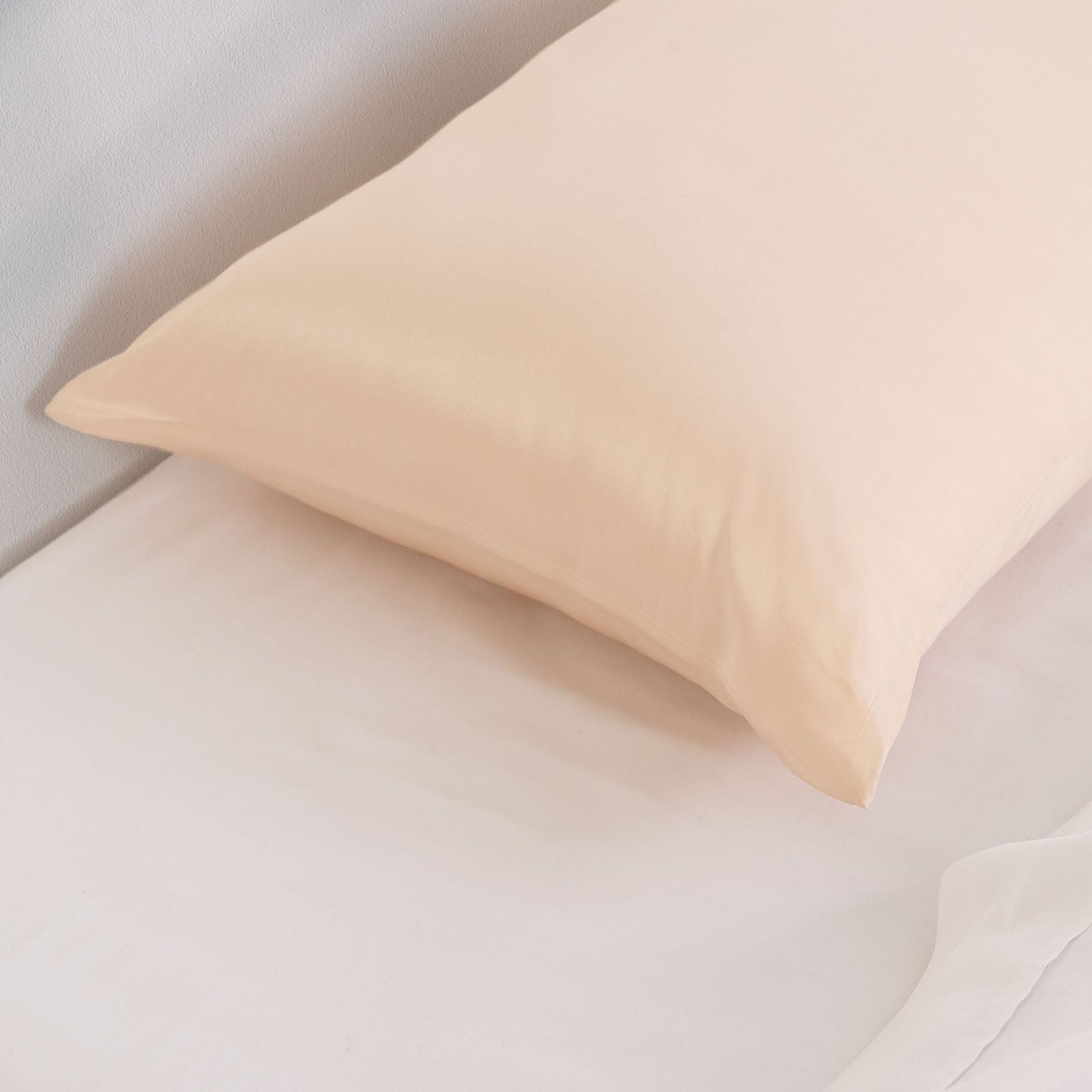 Pure Silk Pillow Case by Royal Comfort (Single Pack) - Champagne Pink-1