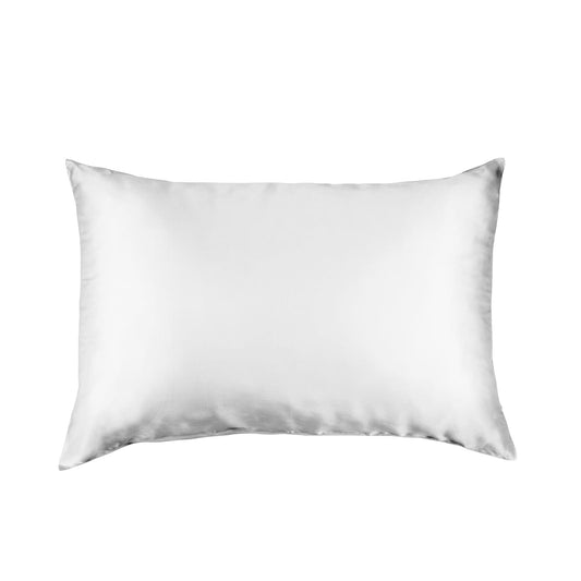 Pure Silk Pillow Case by Royal Comfort-Silver-0