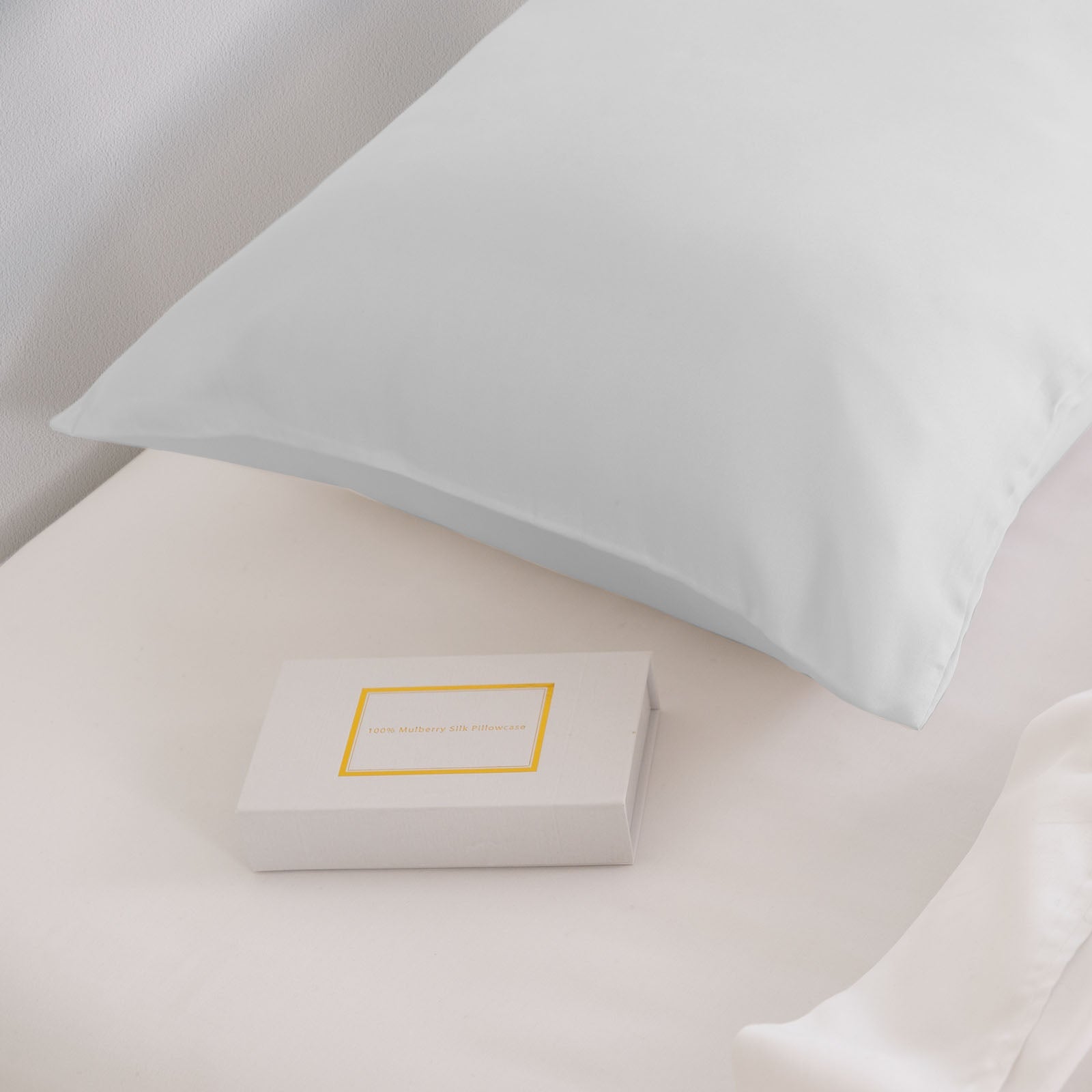 Pure Silk Pillow Case by Royal Comfort-Silver-1