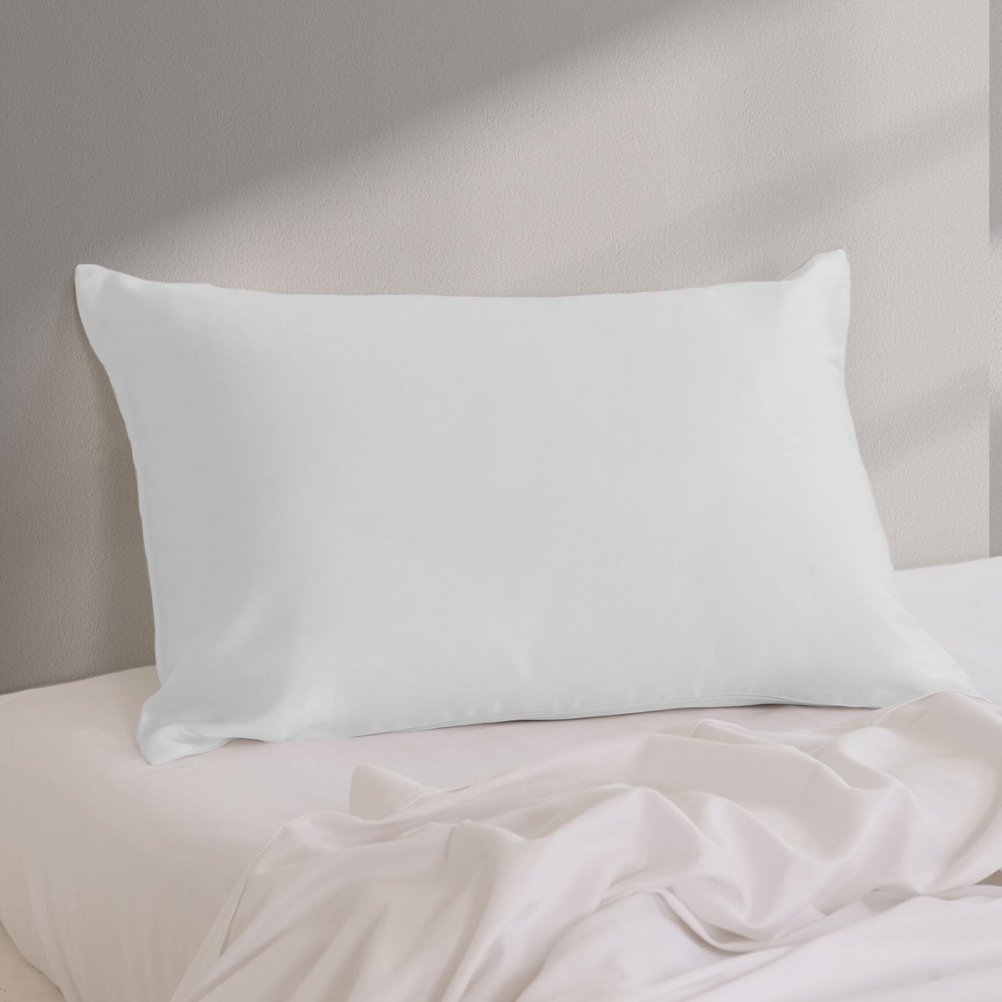 Pure Silk Pillow Case by Royal Comfort-Silver-2