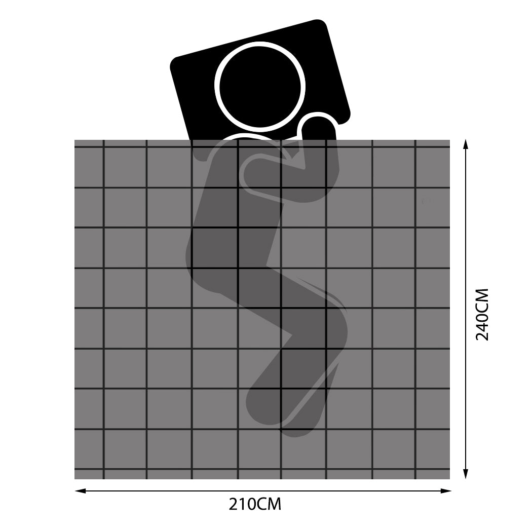 DreamZ 500GSM Goose Quilt Down Feather King-1